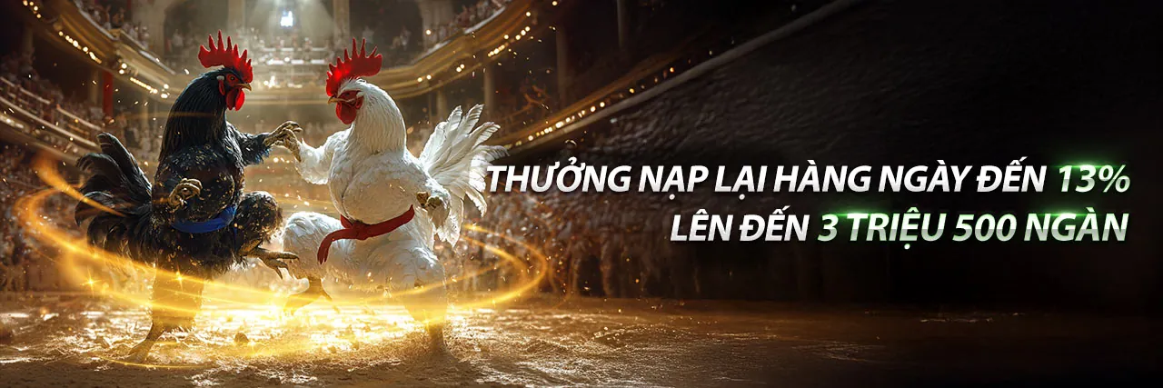Sân vận động rực rỡ với các môn thể thao đa dạng tại okvip top